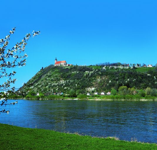 Aktuelles