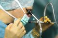 Urologie