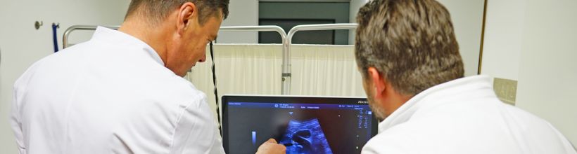 Allgemein-, Viszeral- und minimal invasive Chirurgie