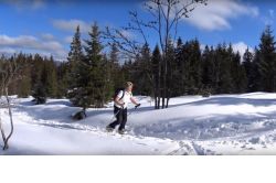 skitour_bayerischer_wald_.jpg
