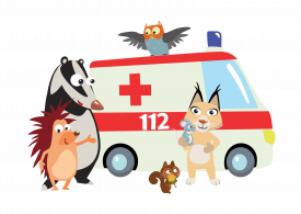 Pflasterpass Krankenwagen Klinik Bogen