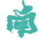 Gastroenterologie Innere Medizin
