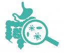 Gastroenterologische Infektionen Innere Medizin