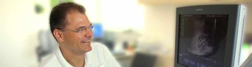 Urologie Urologie