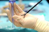 Minimal invasive Chirurgie Allgemein-, Viszeral- und minimal invasive Chirurgie