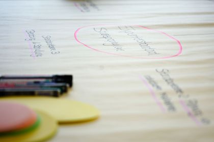 Pflegeentwicklung & Pflegewissenschaft Pflegeentwicklung